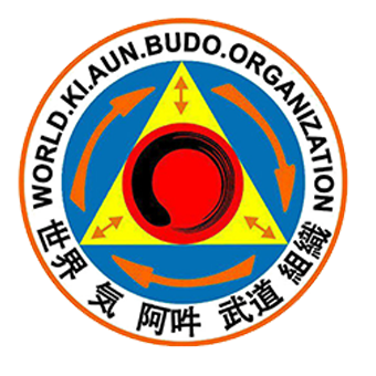 KI AUN BUDO